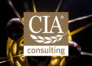 CIA Consulting Web Banner