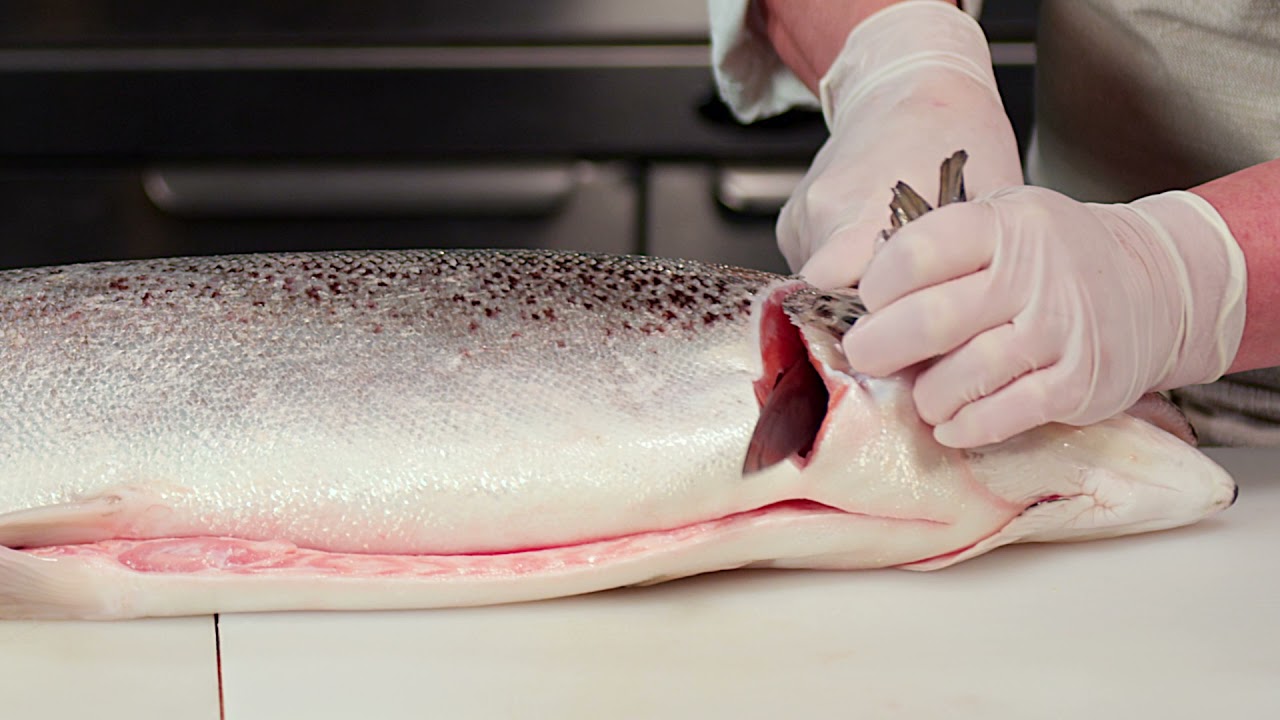 How to Fillet a Salmon