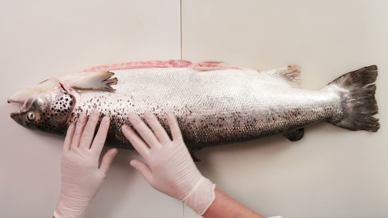 How to Inspect a Salmon for Freshness