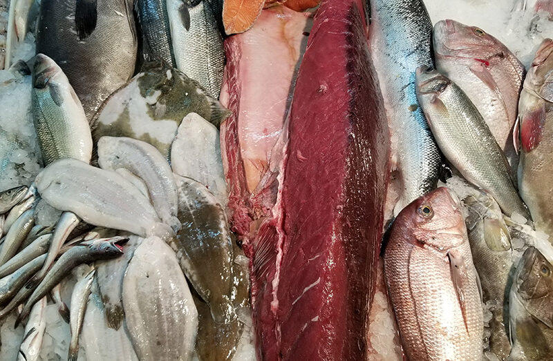 A Tour of Lisbon’s Rosanamar Fish Market