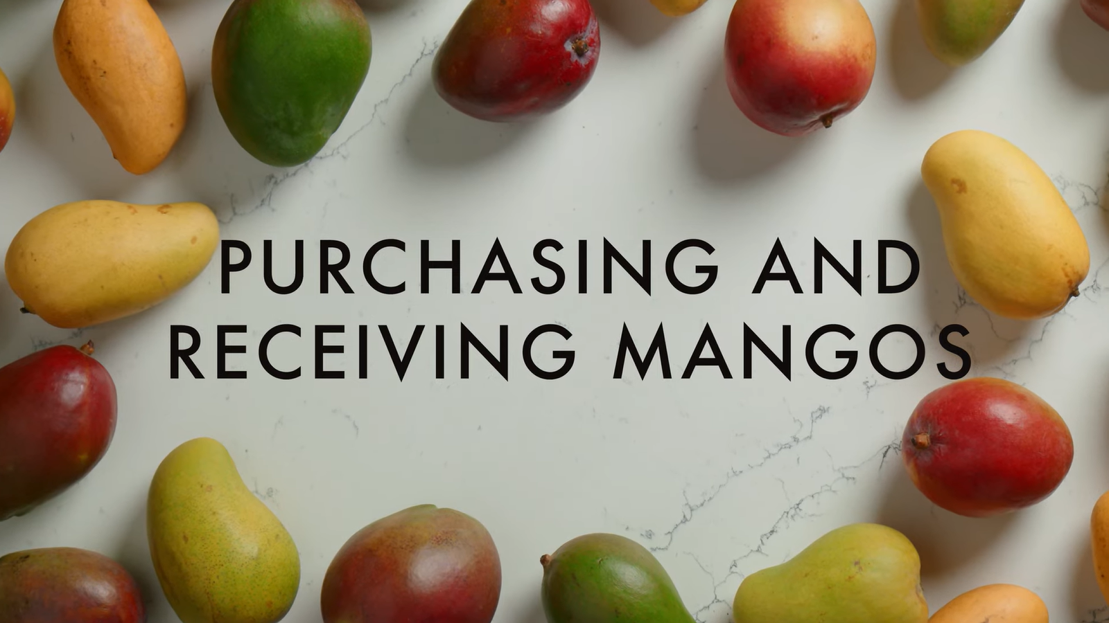 Mango Purchasing